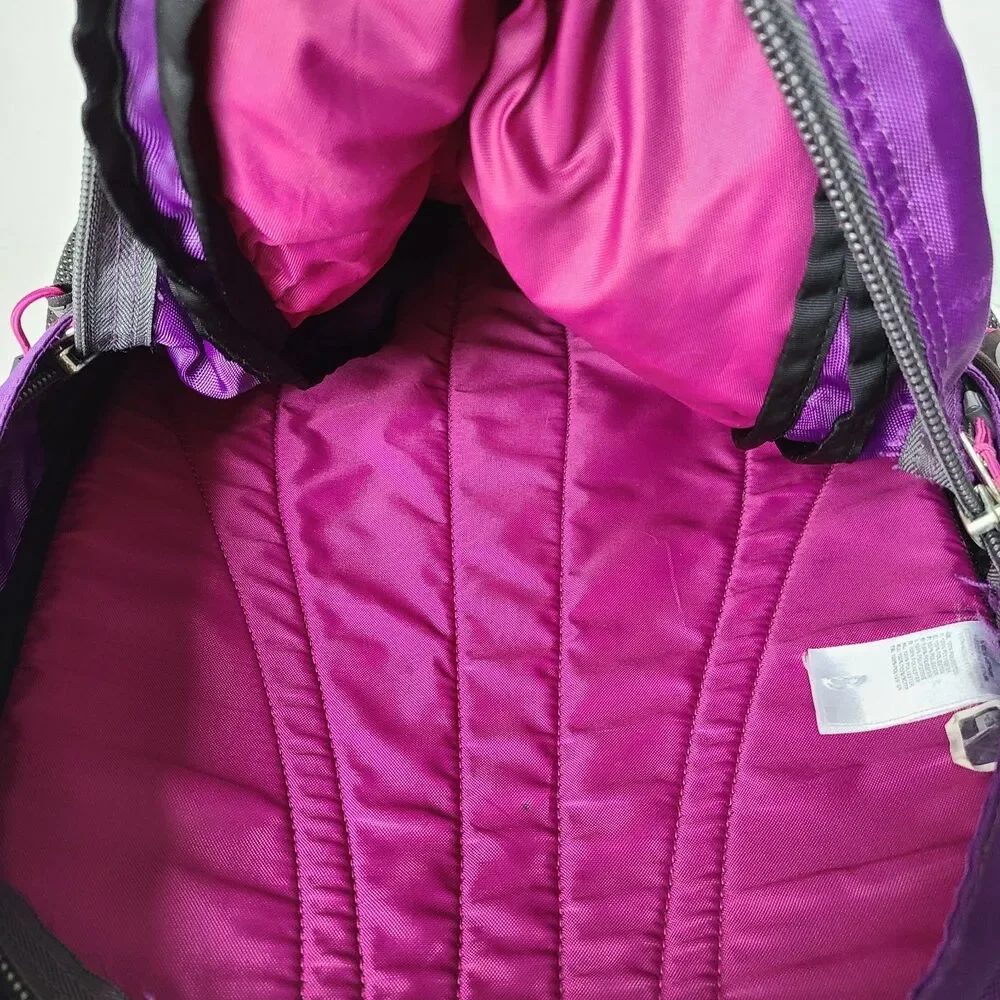 The North Face Jester Backpack Purple Brown Pink School Hiking Book Bag Pack
